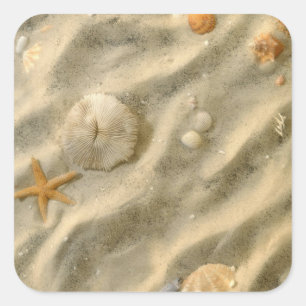 Adesivo Quadrado Capas De Areia