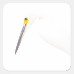 Adesivo Quadrado Captura de cabeça Egret