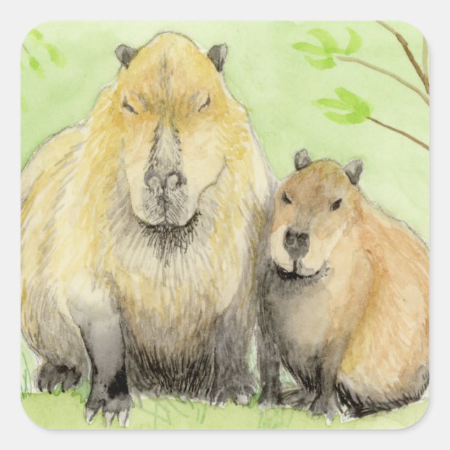 Adesivo Quadrado Capybara (Frente)