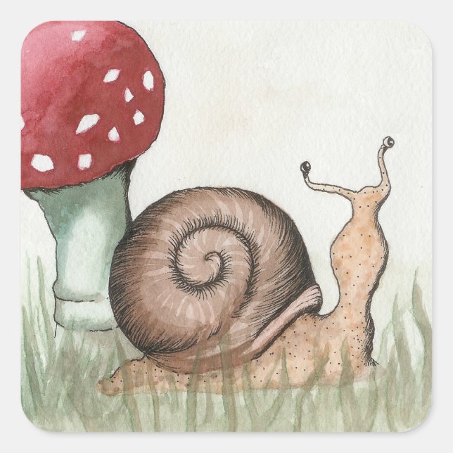 Adesivo Quadrado Caracol e Coguete (Frente)