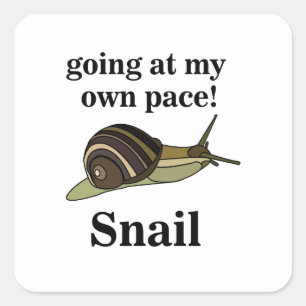 Adesivo Quadrado Caracol Indo no Meu Próprio Ritmo Caracol Engraçad