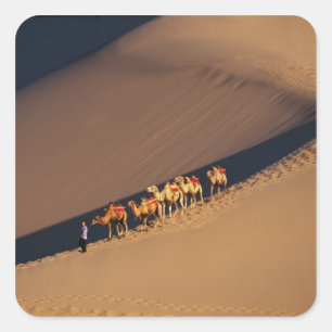 Adesivo Quadrado Caravana de camelos no deserto, Dunhuang, Gansu