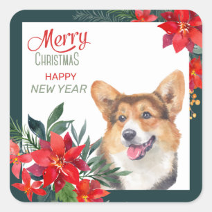 Adesivo Quadrado Cardigan Welsh Corgi Poinsettia Buquê Natal