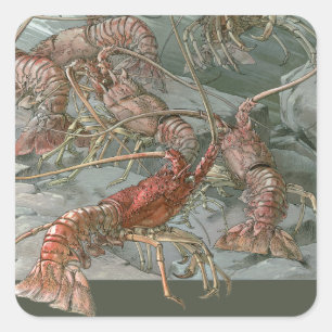 Adesivo Quadrado Cardume de Lagostas no Oceano, Arte Novo Antigo