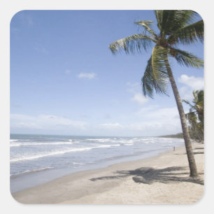 Adesivo Quadrado Caribe - Trinidad - Praia Manzanilla em 2