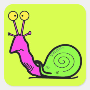 Adesivo Quadrado Caricatura de Caracol Divertido e Legal