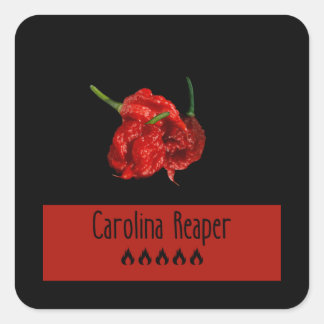Adesivo Quadrado Carolina Reaper