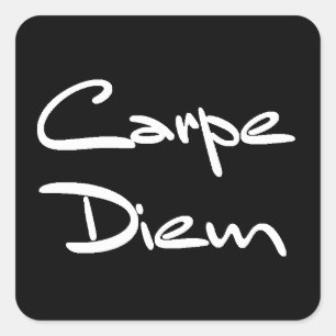Adesivo Quadrado CARPE DIEM Texto Legal Moderno