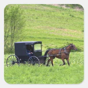 Adesivo Quadrado Carroça e cavalo Amish perto de Berlim, Ohio.