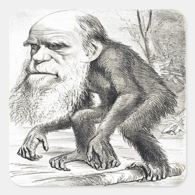 Adesivo Quadrado Cartoon Editorial De Charles Darwin 1871 (Frente)