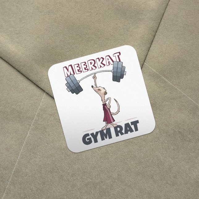 Adesivo Quadrado Cartoon Engraçado Meerkat Gym Rat Engraçado (Criador carregado)