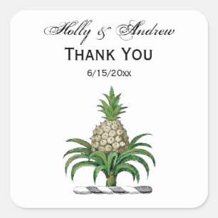 Adesivo Quadrado Casaco de Ananás Herádico de Pré-Papoeira