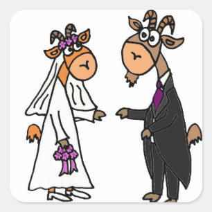 Adesivo Quadrado Casamento engraçado da cabra dos noivos