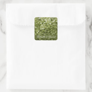 Adesivo Quadrado Casamento floral do Hydrangea verde de Annabelle