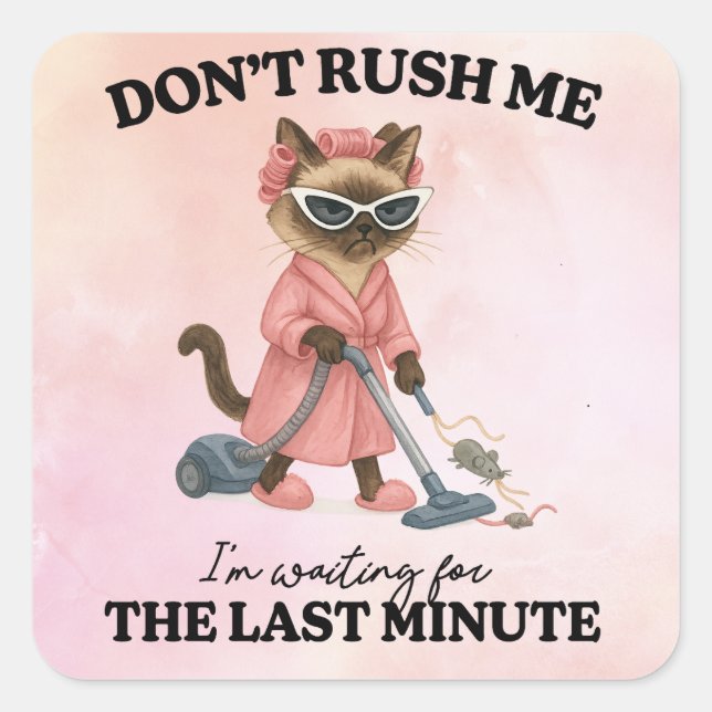 Adesivo Quadrado Cat is cleaning house (Frente)