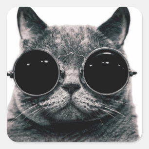 ADESIVO QUADRADO CAT. LEGAL