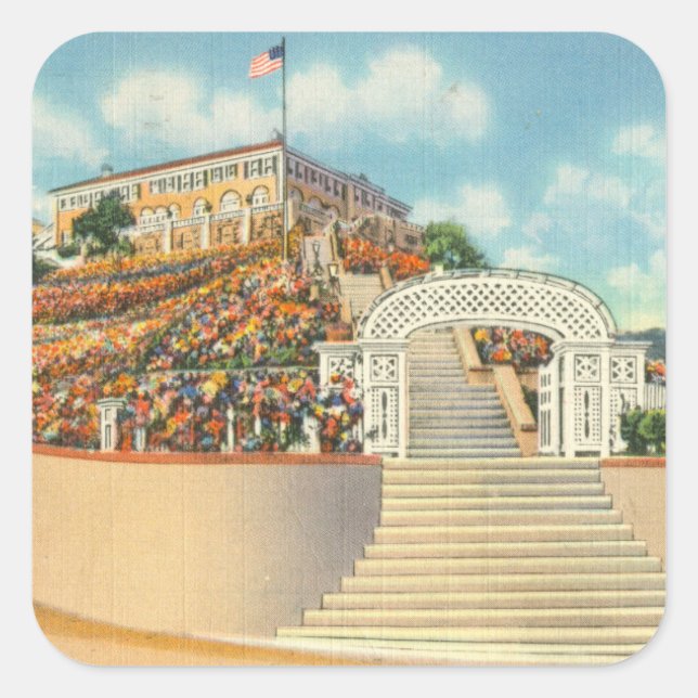 Adesivo Quadrado Catalina (Frente)