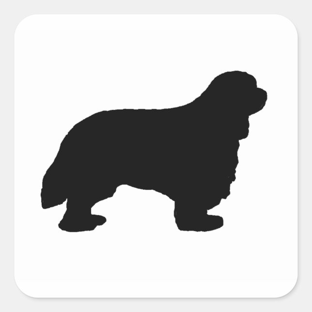 Adesivo Quadrado Cavalier King Charles silo preto (Frente)