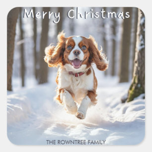 Adesivo Quadrado Cavalier King Charles Spaniel Snow Feliz Natal