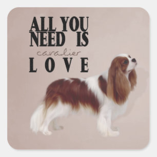 Adesivo Quadrado Cavalier King Charles Spaniel Sticker