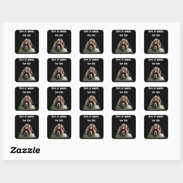 Adesivo Quadrado Cavalier Spaniel, Stickers Quadrados (Folha)