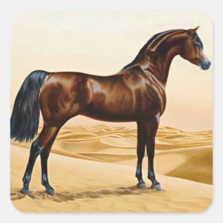 Adesivo Quadrado Cavalo Árabe - William Barraud