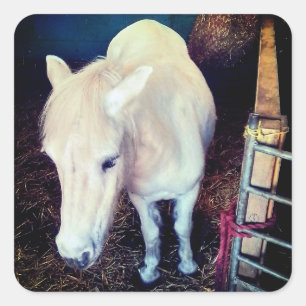 Adesivo Quadrado Cavalo branco