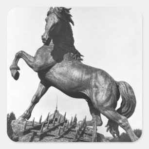 Adesivo Quadrado Cavalo com uma grade