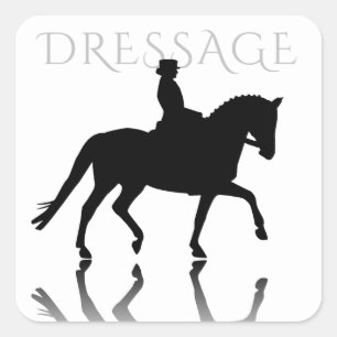 Adesivo Quadrado Cavalo de Dressage Silhouette com Reflexão