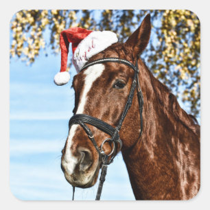 Adesivo Quadrado Cavalo de Natal com chapéu