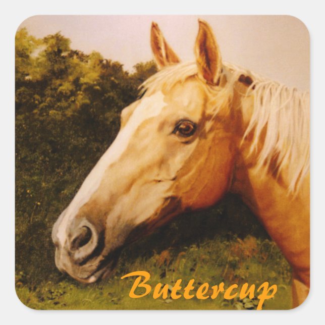 Adesivo Quadrado Cavalo de Palomino com Blaze (Frente)