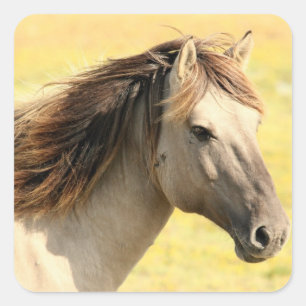 Adesivo Quadrado Cavalo no selvagem
