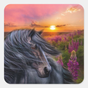 Adesivo Quadrado Cavalo preto para sempre selvagem
