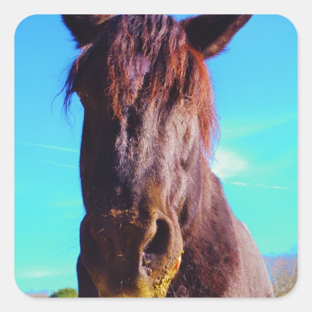 Adesivo Quadrado Cavalo Roxo com Boca Verde (Frente)