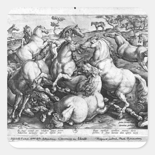Adesivo Quadrado Cavalos na natureza (Frente)
