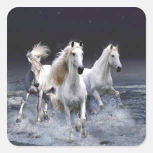 Adesivo Quadrado Cavalos travesseiros decorativos