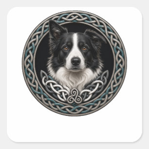 Adesivo Quadrado Celtic Knot Border Collie