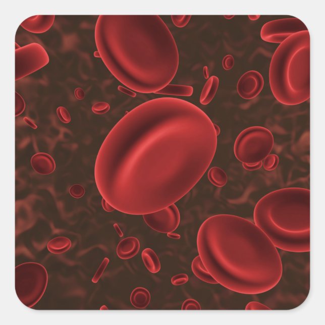 Adesivo Quadrado Células Vermelhas do Sangue Microscópicas (Frente)