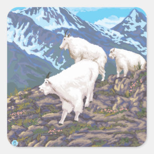 Adesivo Quadrado Cena das cabras de montanha - Sitka, Alaska