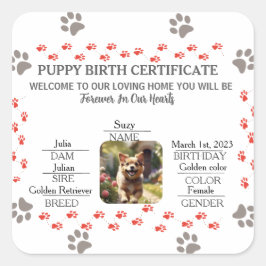 Adesivo Quadrado Certificado de Nascimento de Puppy Personalizado