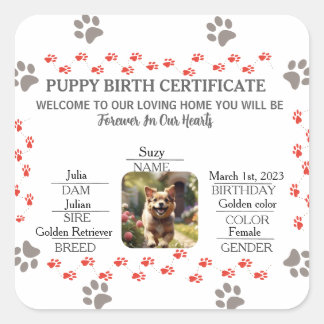 Adesivo Quadrado Certificado de Nascimento de Puppy Personalizado