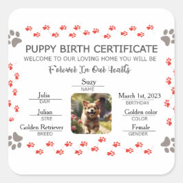 Adesivo Quadrado Certificado de Nascimento de Puppy Personalizado
