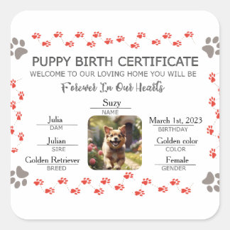 Adesivo Quadrado Certificado de Nascimento de Puppy Personalizado