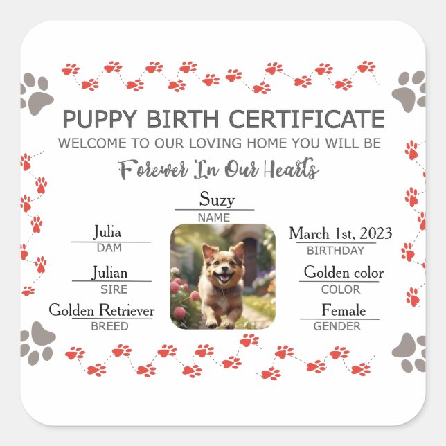 Adesivo Quadrado Certificado de Nascimento de Puppy Personalizado (Frente)