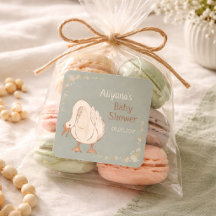 Chá de Bebê Personalizado Minimal Boho Silly Goose