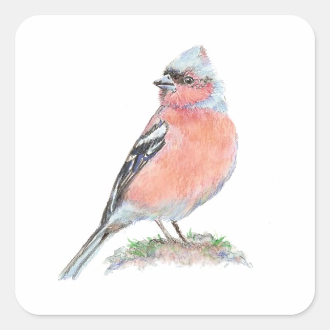 Adesivo Quadrado Chaffinch, Watercolor Bird Collection (Frente)