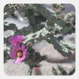 Adesivo Quadrado Challa Cactus em flor
