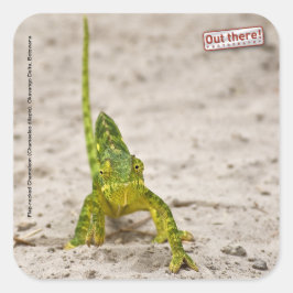 Adesivo Quadrado Chameleon