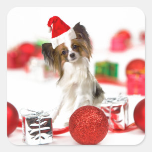 Adesivo Quadrado Chapéu bonito do papai noel do Natal do cão de