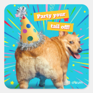 Adesivo Quadrado Chapéu de Aniversário Bumbum de Corgi